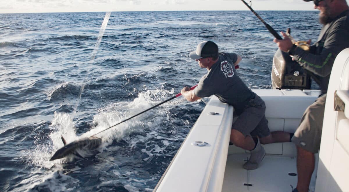 LKS6E1-KWWahoo-44-1200x660